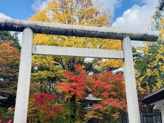 松本威爾頓飯店優惠