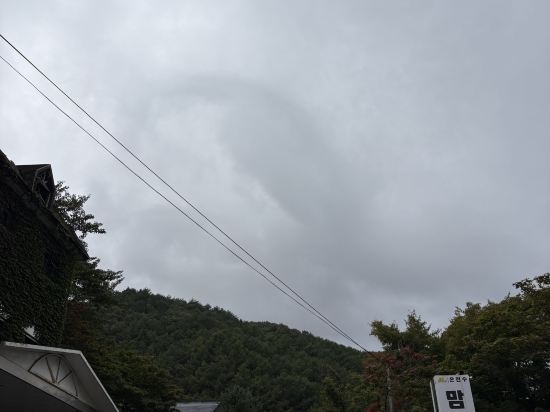 맘모스 리조텔 쿠폰