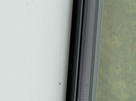 皇后鎮湖岸盛橡度假飯店優惠