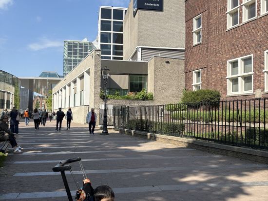 澤伊達斯城市巢穴優惠