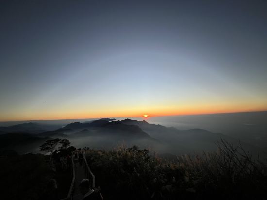阿里山初日民宿優惠
