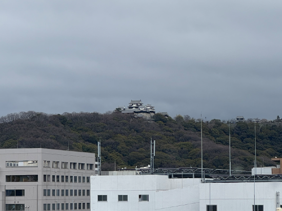 ターミナルホテル松山 クーポン