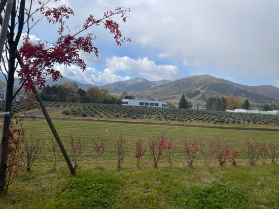 北海道南富良野萬楓飯店優惠