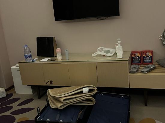 麗楓酒店（東莞沙田東莞港站店）優惠