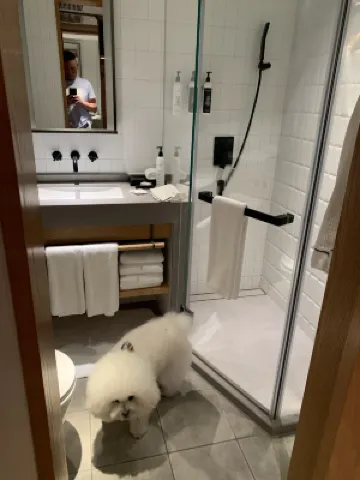 BEI Zhaolong Hotel, part of JdV by Hyatt Phòng Photos