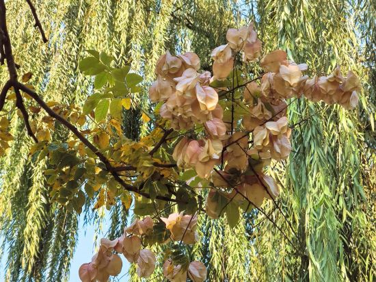 馨香雅苑四合院（北京天安門王府井店）優惠