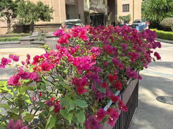 惠安達利世紀飯店優惠