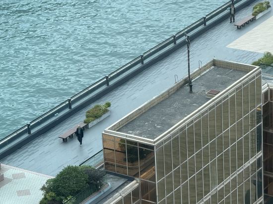 香港皇家太平洋酒店優惠