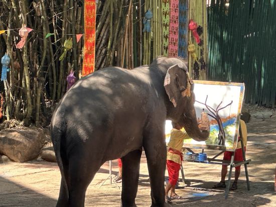 曼谷客萊福雅秀飯店優惠