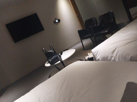 호텔 컬리넌 제주 쿠폰