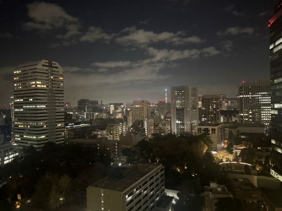 東京新大谷飯店花園塔飯店優惠