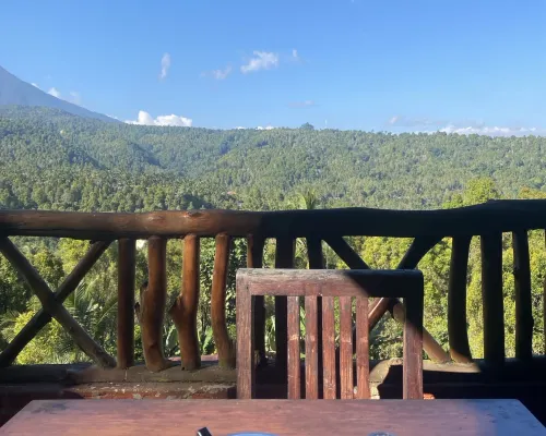 Edy Homestay Photos