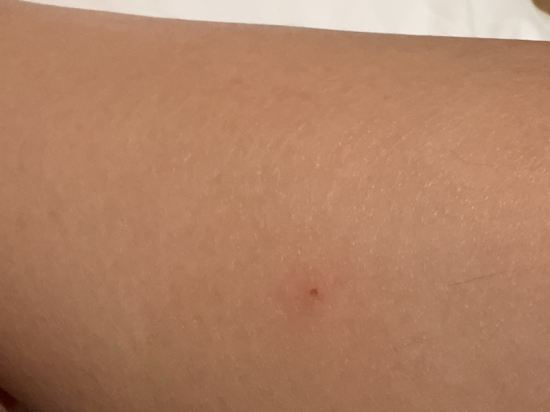 山荘天水 クーポン