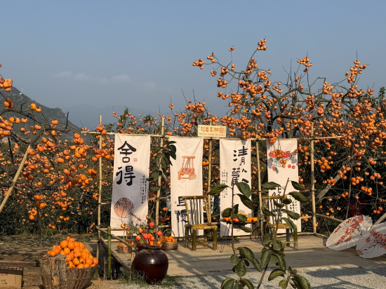 維也納酒店（羅湖口岸國貿地鐵站店）優惠