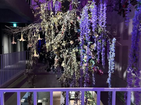 白井屋ホテル クーポン