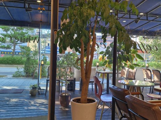 White Tourist Hotel 쿠폰