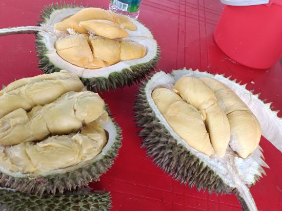 巴株巴轄鵜鶘酒店優惠