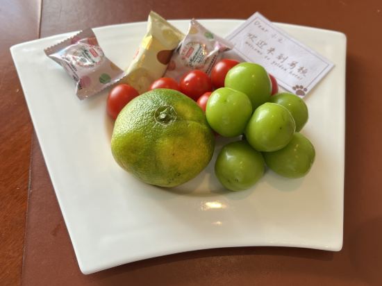 佛山哥頓飯店優惠