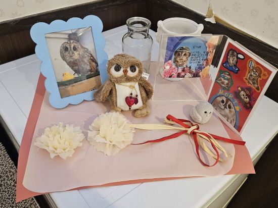 東京日暮里奧維力膠囊旅館優惠