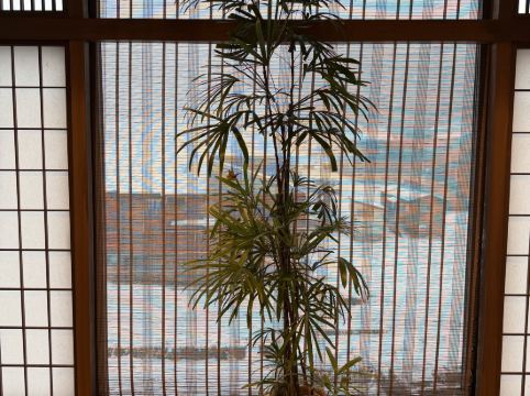 湯煙之宿 雪之花優惠