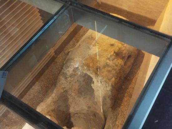 薩拉戈薩文希真特羅酒店優惠