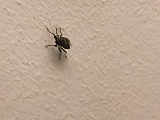 米蘭大教堂戴卡瓦列瑞酒店優惠