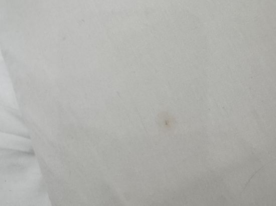 公園大道貝斯沃特酒店優惠