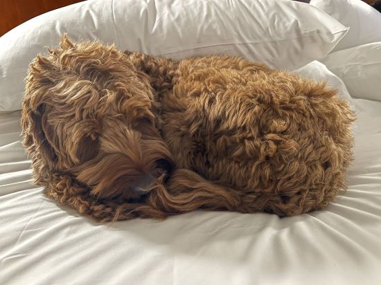 市區時代廣場福朋喜來登酒店優惠