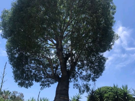 桔子水晶廈門中山路園林植物園飯店優惠