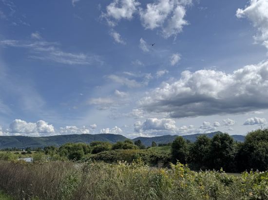 天然温泉 紫雲の湯 ラビスタ富良野ヒルズ クーポン
