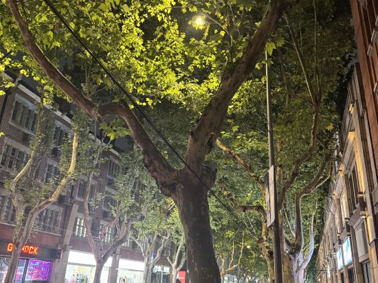 上海金辰大飯店優惠