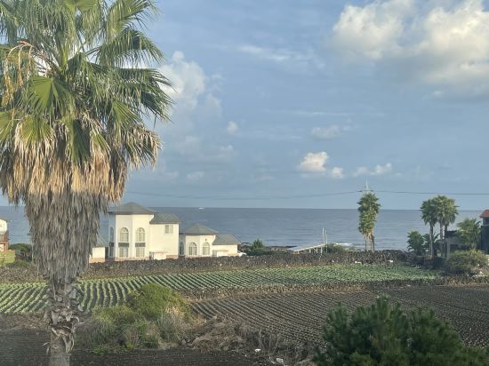 애월바다 타운하우스 쿠폰