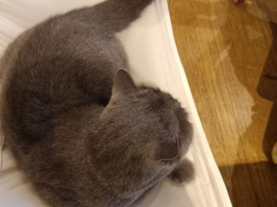 成都茉莉國際青年旅舍（春熙路太古裡店）優惠