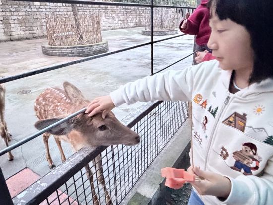 南京紫清湖温泉度假酒店優惠
