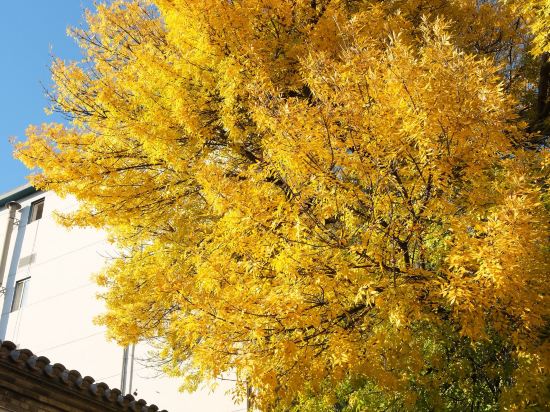 速8精選酒店（北京工體三里屯春秀路店）優惠