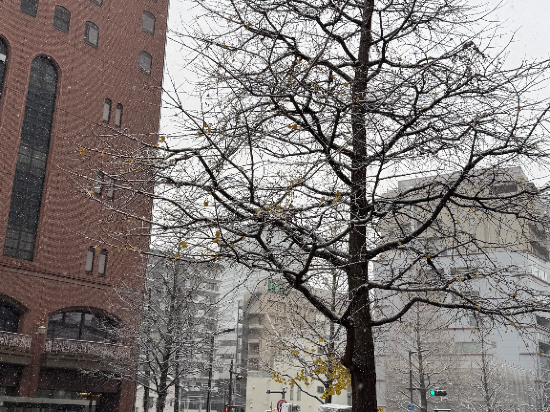 仙台廣瀨通超級飯店 天然溫泉 弦月之湯優惠