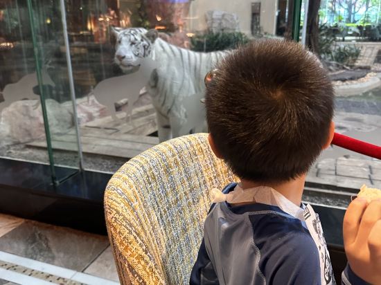 長隆酒店（廣州長隆野生動物世界店）優惠