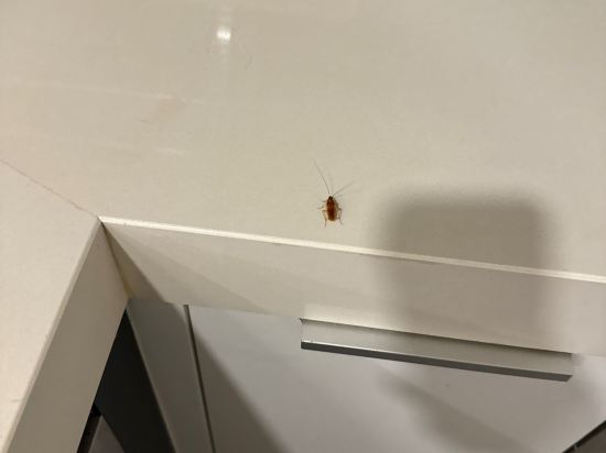 吉隆坡KLCC服務式公寓豪華套房優惠