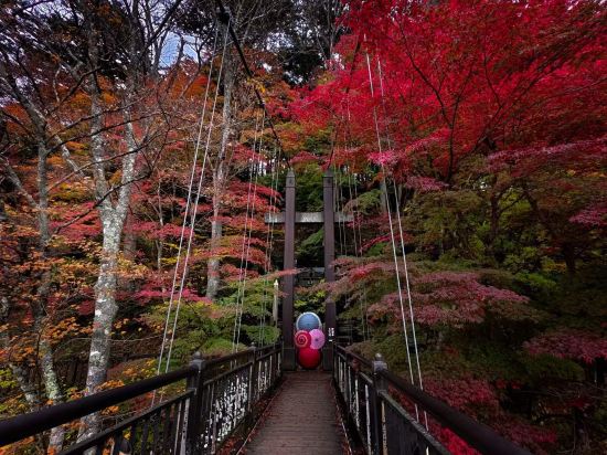 秘湯にごり湯の宿　渓雲閣 クーポン