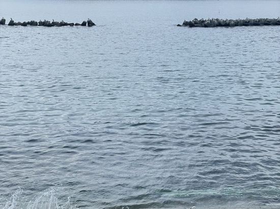 三陸花ホテルはまぎく クーポン