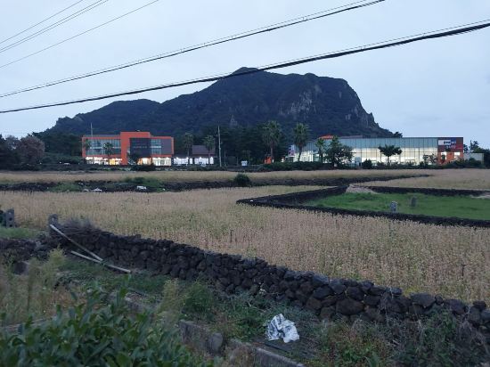 담모라 리조트 쿠폰