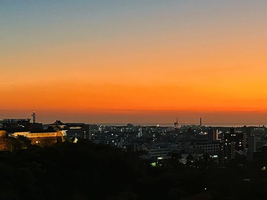 ダイワロイネットホテル和歌山 クーポン