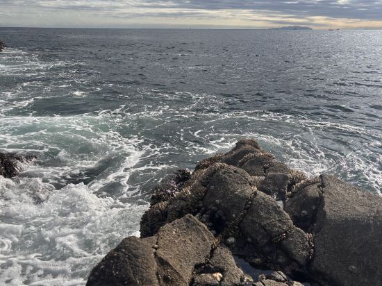 JR東日本鎌倉大船METS飯店優惠
