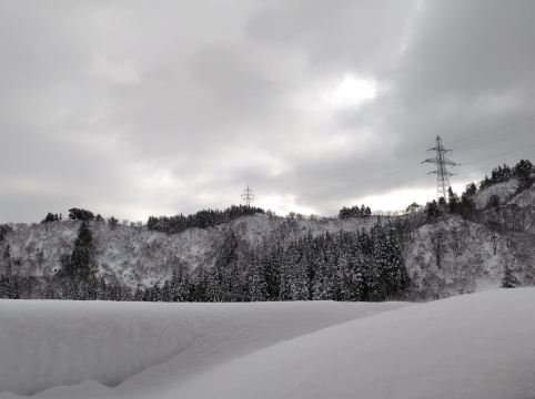 ナスパニューオータニ クーポン