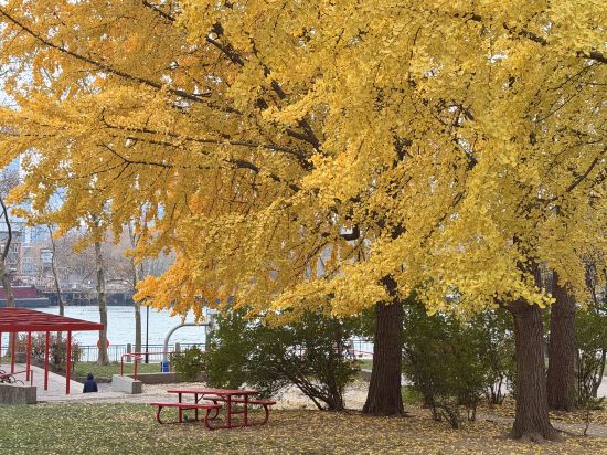 法拉盛福朋喜來登酒店優惠