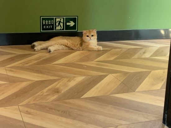 無它老洋房1929酒店（青島海底世界店）優惠