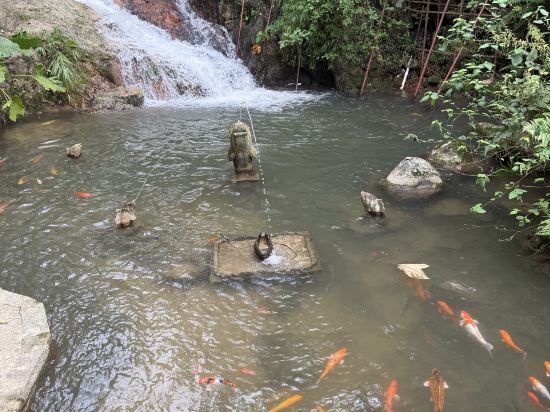 新興翔順龍山酒店優惠