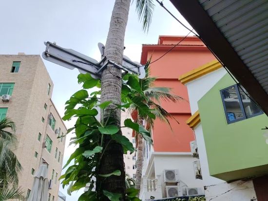 三亞背包客國際青年旅舍優惠