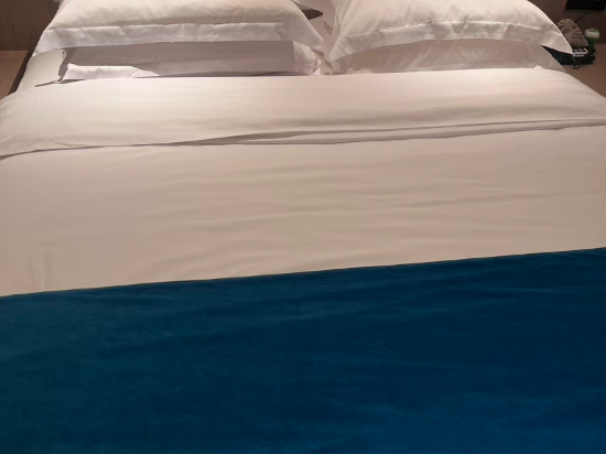 萊卡登飯店（深圳福田口岸沙尾地鐵站店）優惠