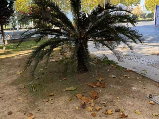 義烏博覽皇冠假日酒店優惠